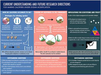 Editorial: Fitness of Marine Calcifiers in the Future Acidifying Ocean